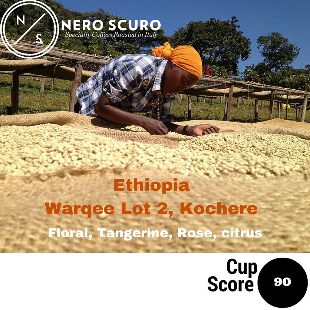 A microlot topping in cup score (90!): Ethiopia Warqee ☕