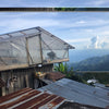 La Victoria Geisha washed - Tolima