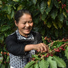 Aulai Co-Fermented Anaerobic Natural - Yunnan, China