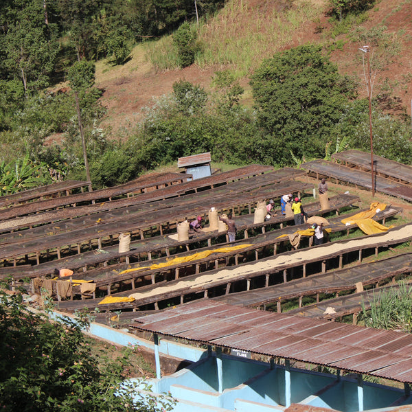 Ichuga AA - Nyeri