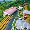 Finca Las Lajas Paraiso Black Honey - Sabanilla de Alajuela