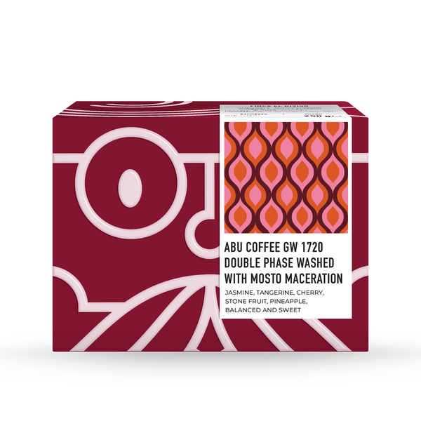 GW-1720 Gesha, double phase washed with dry cascara maceration - Boquete