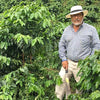 Flor de Café Natural Pacamara - Huehuetenango