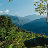 Finca Los Nisperos - El Chalun, Huehuetenango